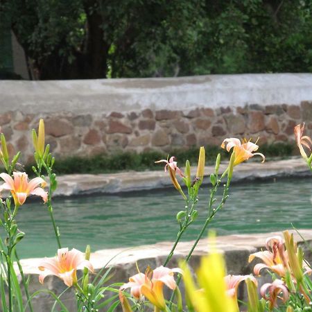 Hillside Farm Otel Trompsburg Dış mekan fotoğraf